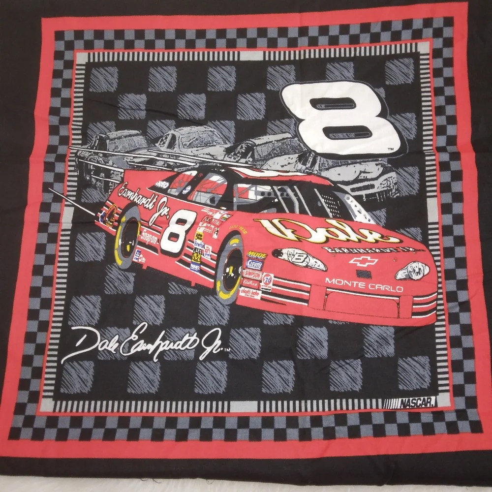 FABRIC PILLOW PANELS NASCAR Dale Earnhardt Jr. #8 car pillow panels 6 panels